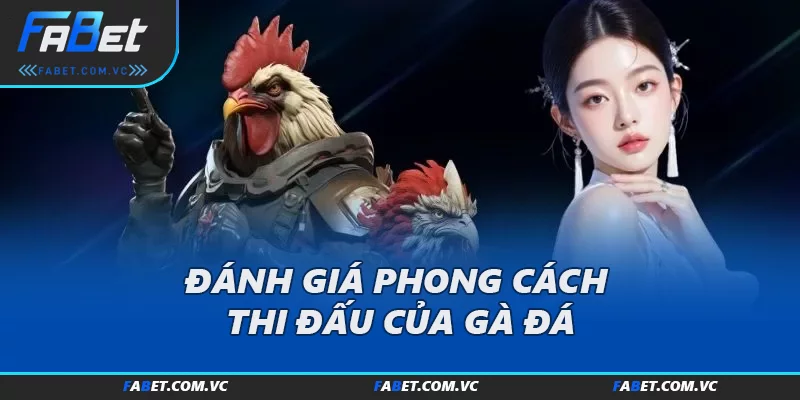 Đánh giá phong cách thi đấu của gà đá