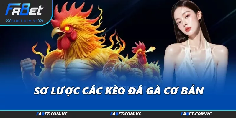 Sơ lược các kèo đá gà cơ bản