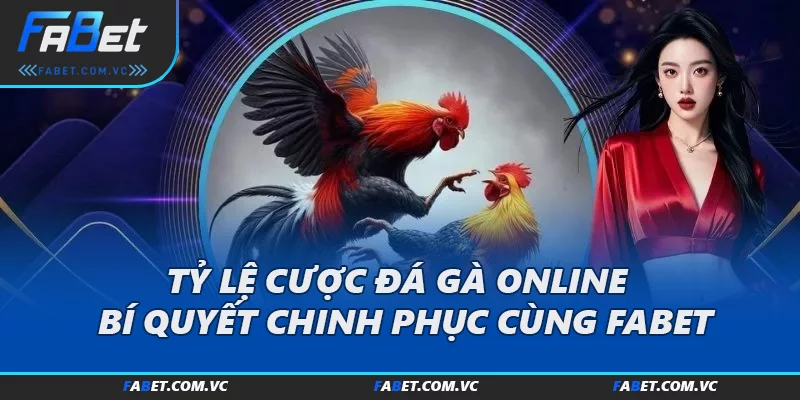 Tỷ Lệ Cược Đá Gà Online - Bí Quyết Chinh Phục Cùng FABET